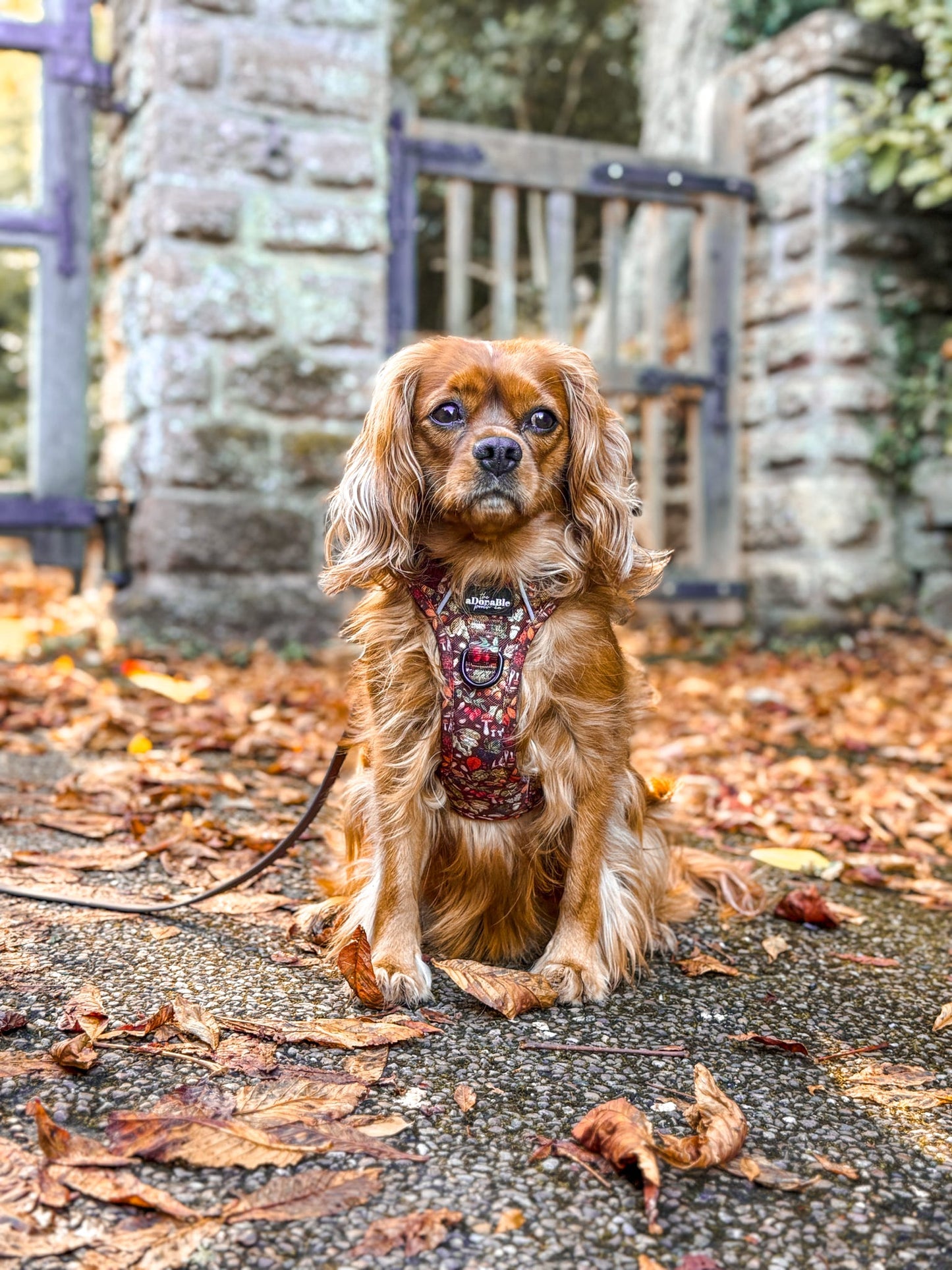 Hike & Go™ Harness - Foragers Forest