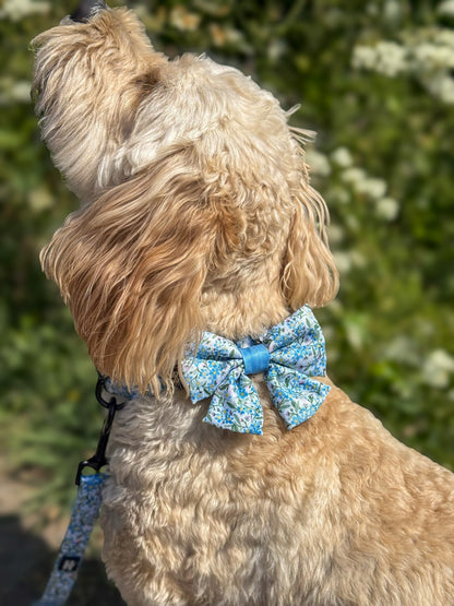 Dog Sailor Bow Tie - Flourishing Forget-Me-Nots