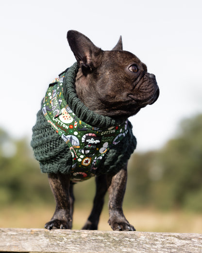 Hand Knitted Dachshund Jumper - Spruce Green