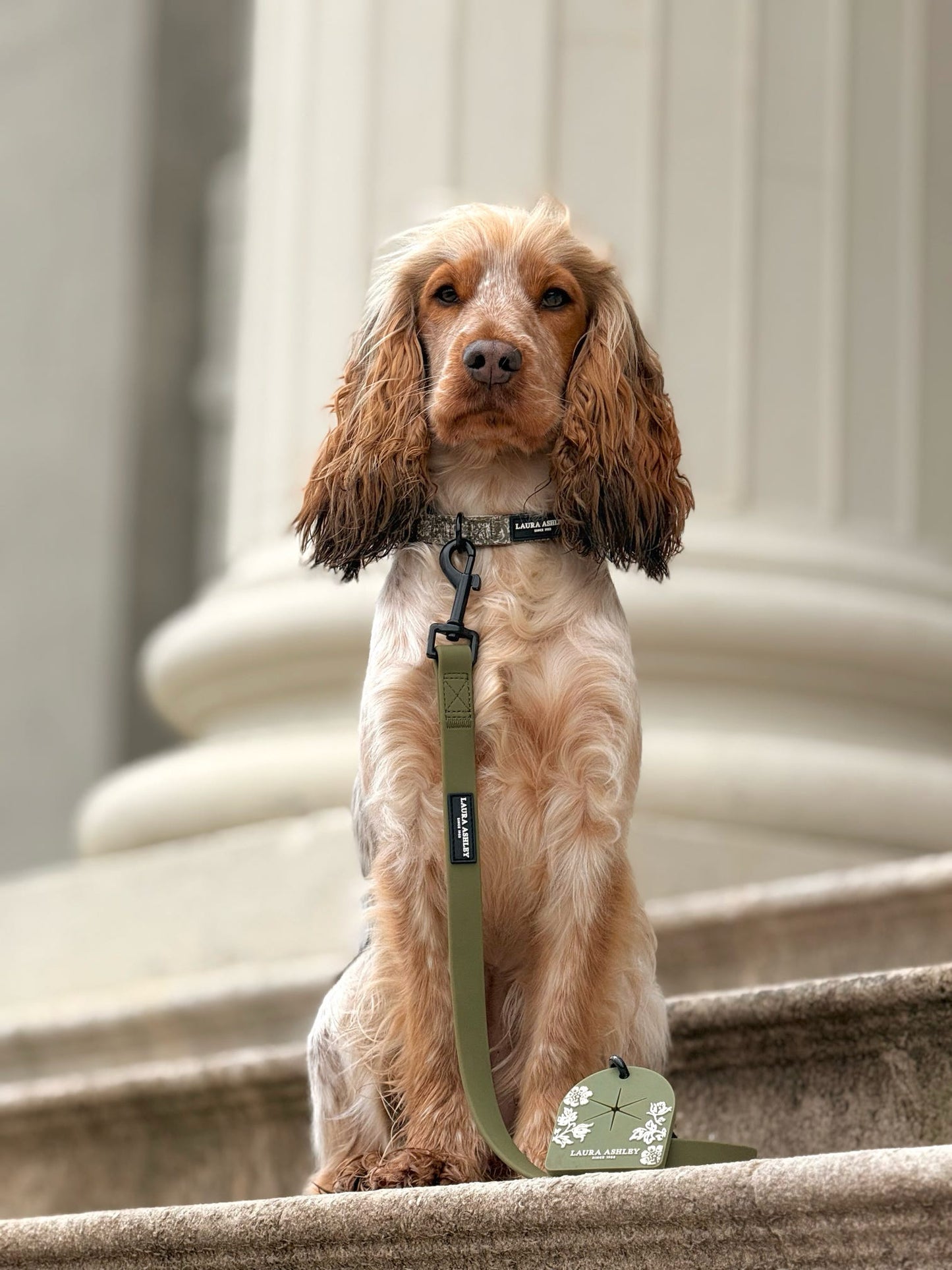 Laura Ashley Waterproof Dog Lead - Sweet Alyssum