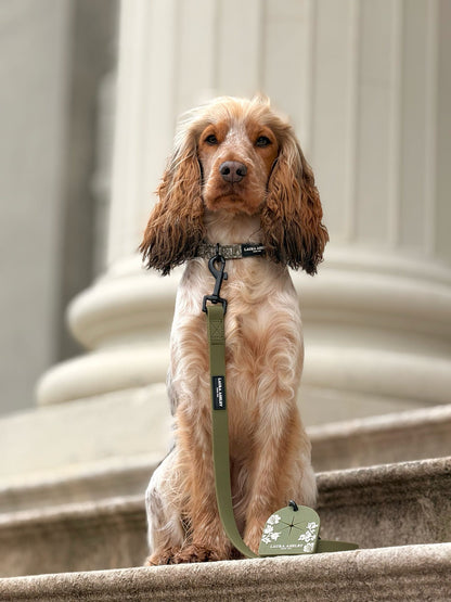 Laura Ashley Waterproof Dog Lead - Sweet Alyssum