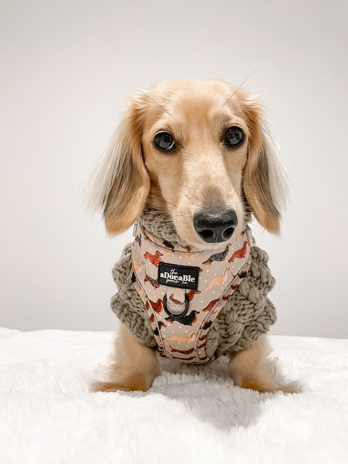 Hand Knitted Dachshund Jumper - Mocha