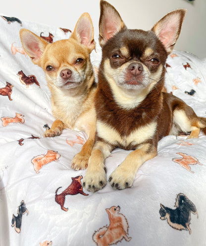 Supersize Soft Blanket - Watercolour Chihuahuas