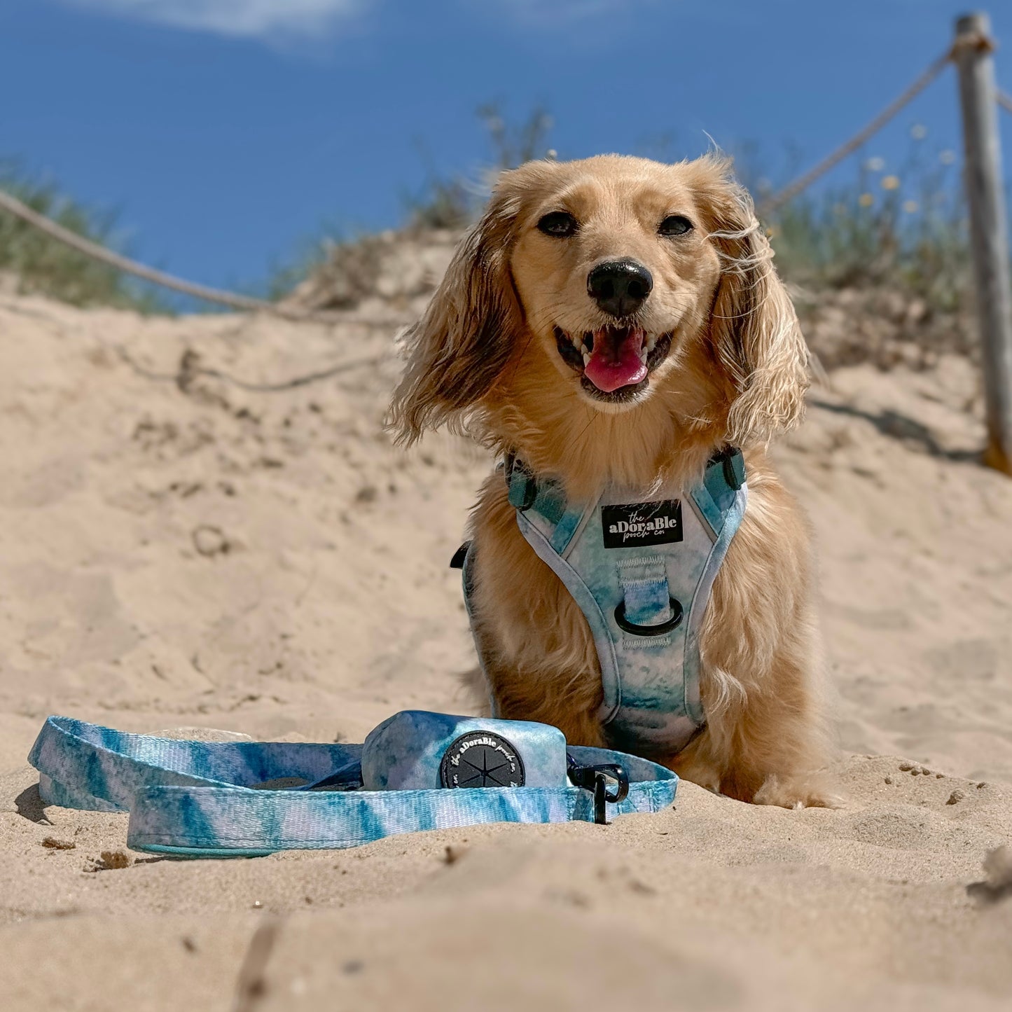 Hike & Go Lite™ Harness - Watercolour Waves