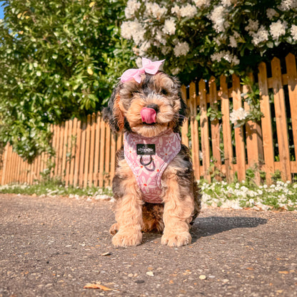 Adjustable Harness - Dandy Daisy