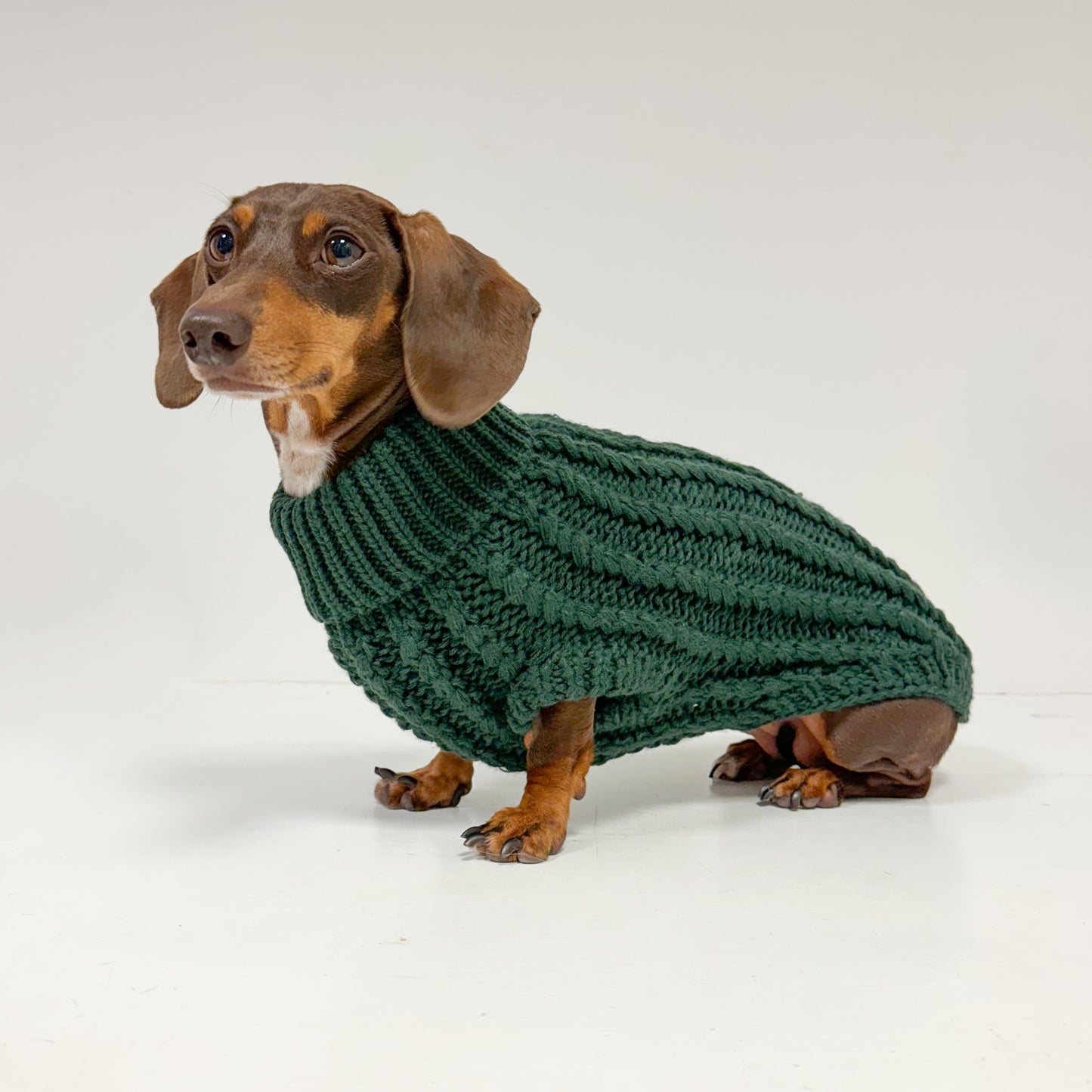 Hand Knitted Dachshund Jumper - Spruce Green