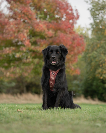 Hike & Go Lite™ Harness - Winter Fawn