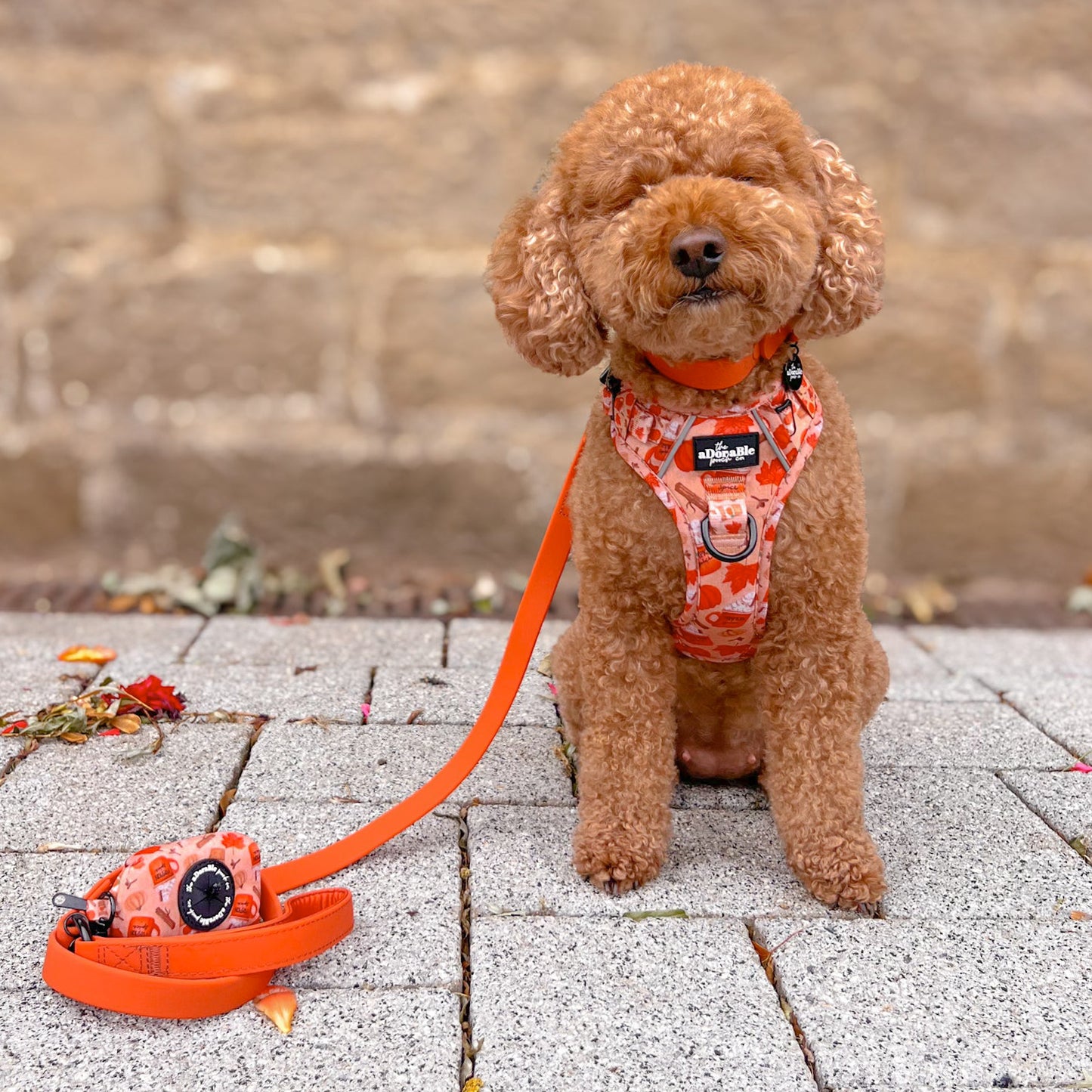 HydroFlex™ Two-tone Waterproof Dog Lead - Burnt Orange