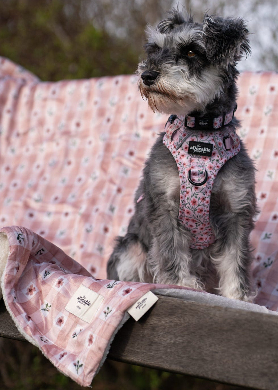 Dog sitting on a pink blanket with a blurred natural background