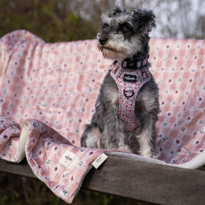 Dog sitting on a pink blanket with a blurred natural background
