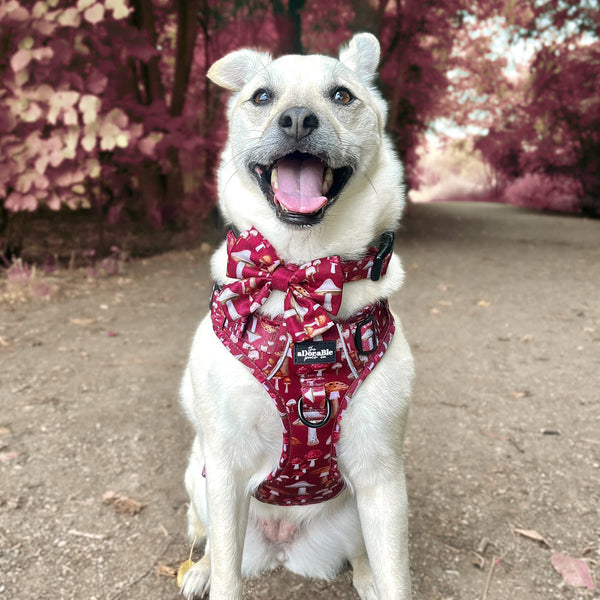 Hike & Go Lite™ Harness - Mulberry Mushrooms