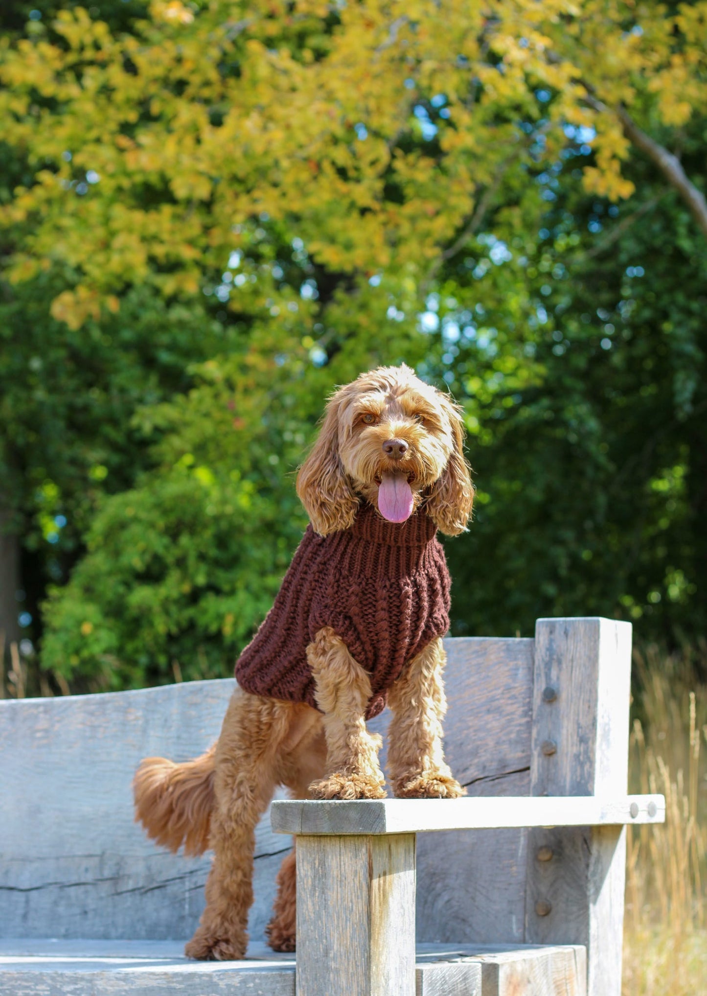 Hand Knitted Dog Jumper - Chocolate (seconds)