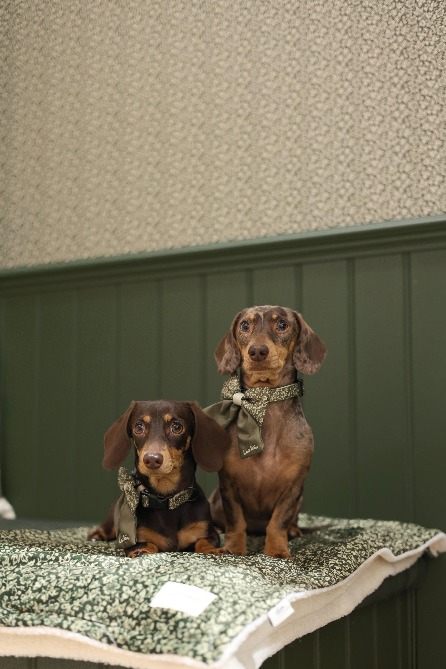 Laura Ashley Dog & Puppy Bed Blanket - Sweet Alyssum