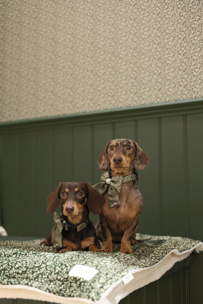 Laura Ashley Dog & Puppy Bed Blanket - Sweet Alyssum