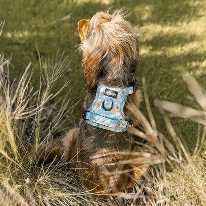 Hike & Go Lite™ Harness - Coastal Beach Grass