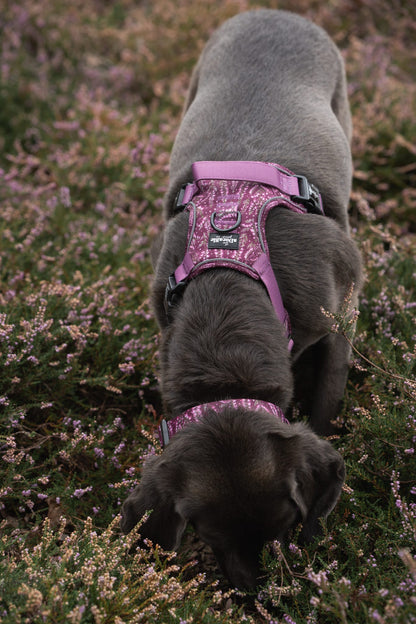 Hike & Go™ Harness - Highland Heather