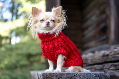 Hand Knitted Dachshund Jumper - Berry Red