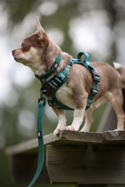HydroFlex Lite™ Dog Collar - Pheasant Green