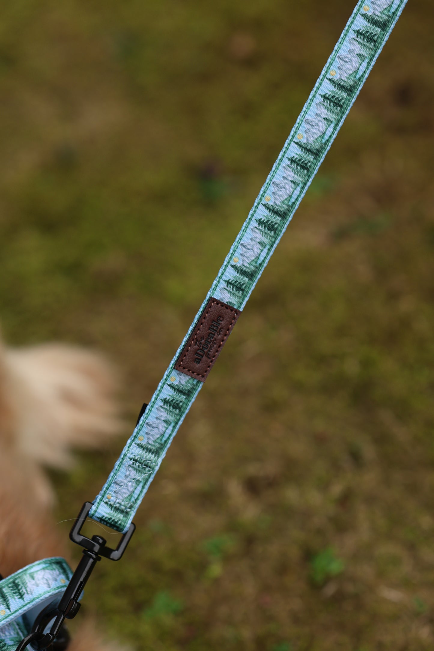 Lead - Daydream Heights