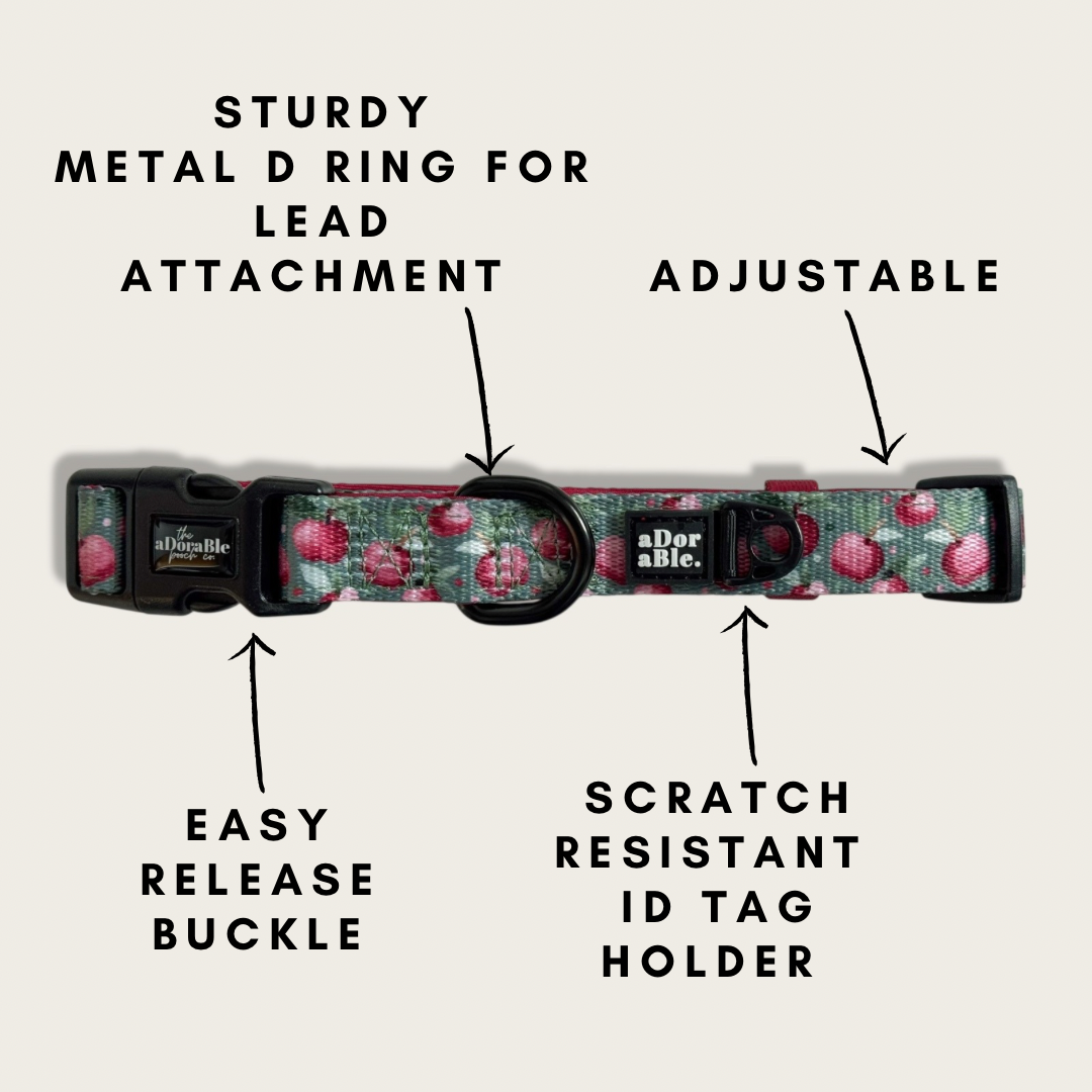 Collar - Crab Apple Cottage