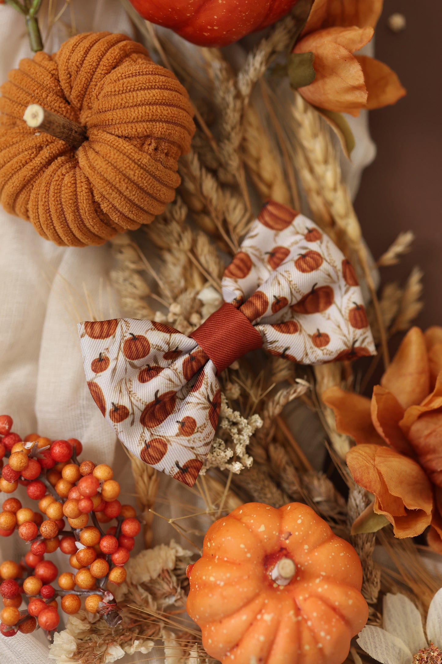 Bow Tie - Pumpkin Farm