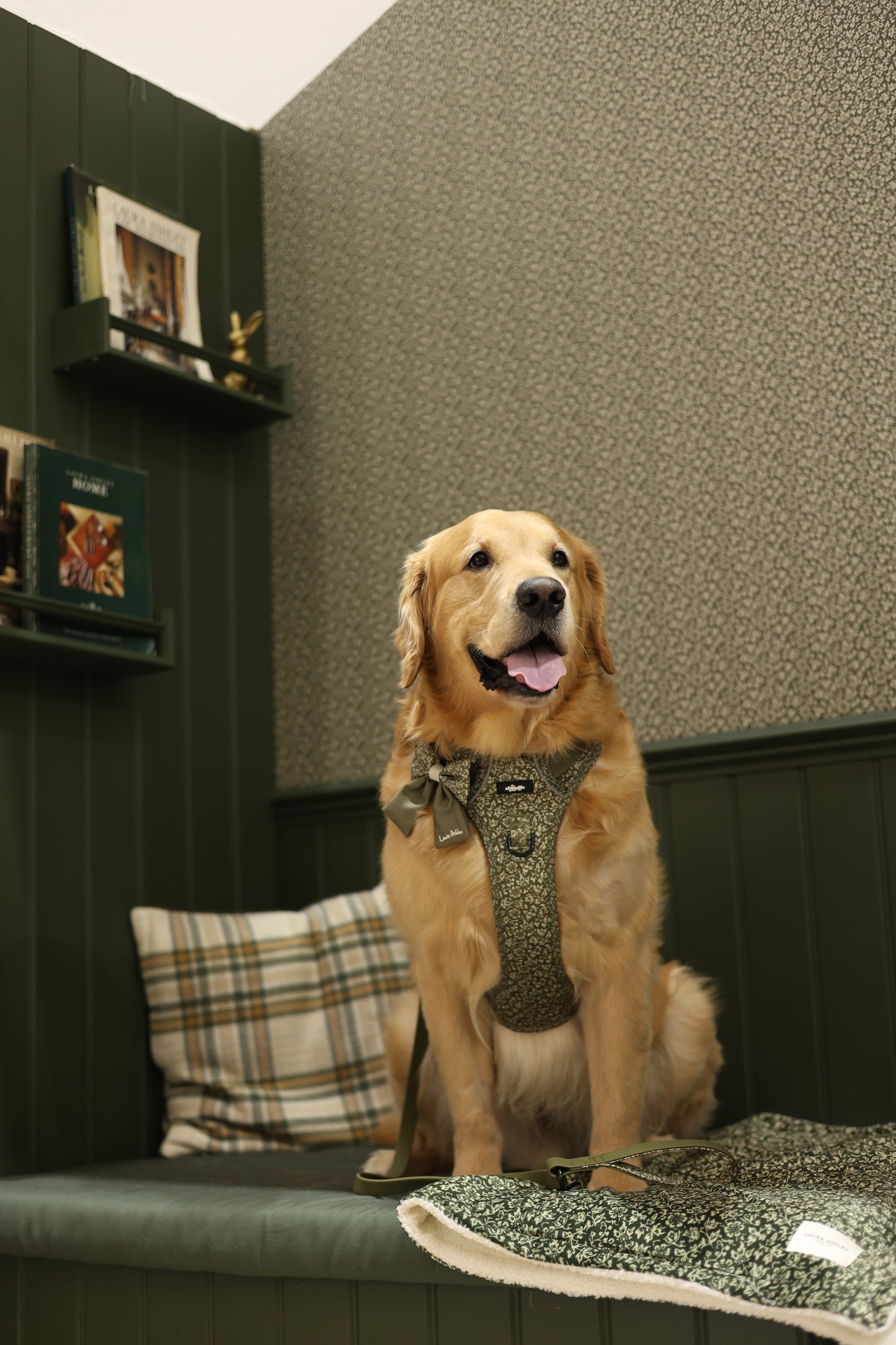 Laura Ashley Dog & Puppy Bed Blanket - Sweet Alyssum