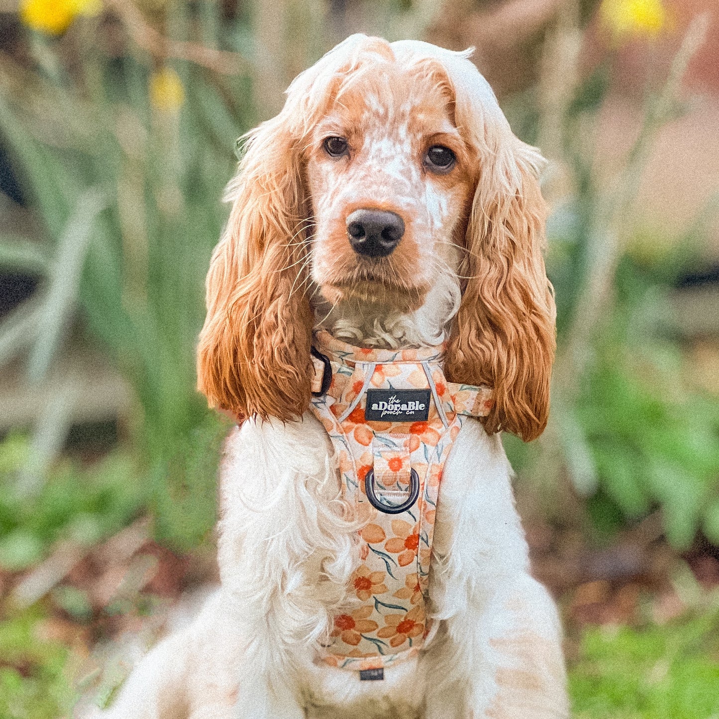 Hike & Go Lite™ Harness - Delicate Daffodils