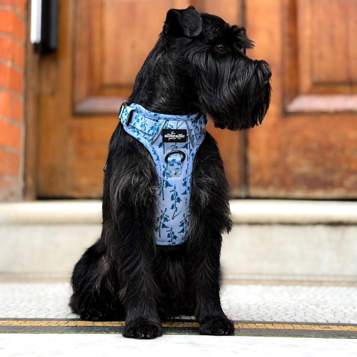 Hike & Go Lite™ Harness - Bluebell Bliss