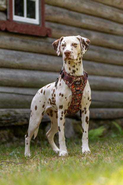 Hike & Go™ Harness - Foragers Forest