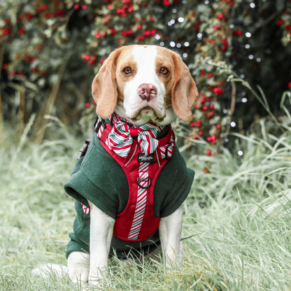 Hike & Go™ Harness - Candy Cane Swirl