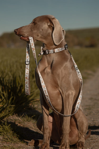 Dog Collar - Cotswold Cottage