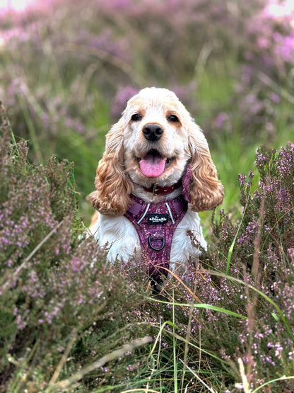 Hike & Go™ Harness - Highland Heather