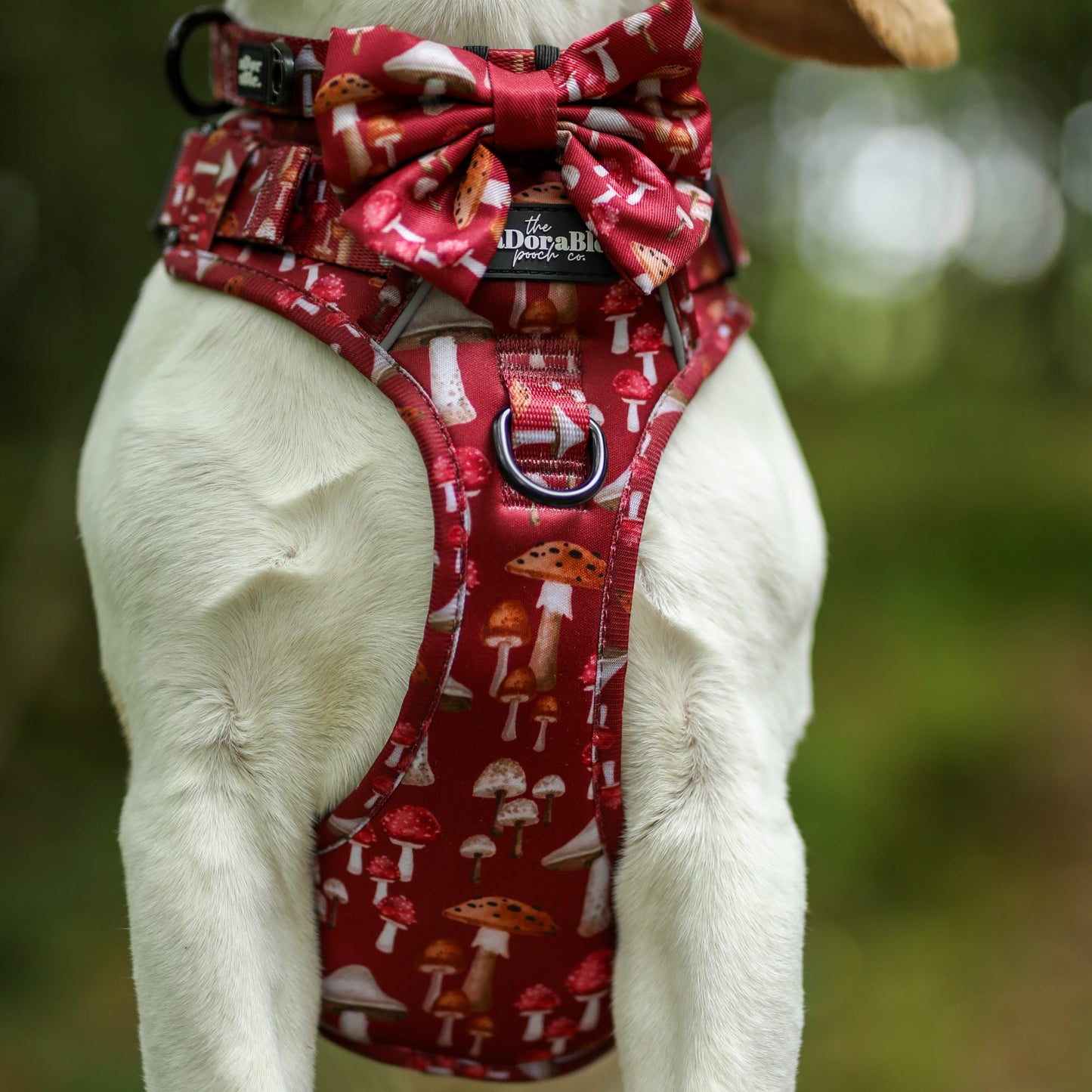 Sailor Bow Tie - Mulberry Mushrooms