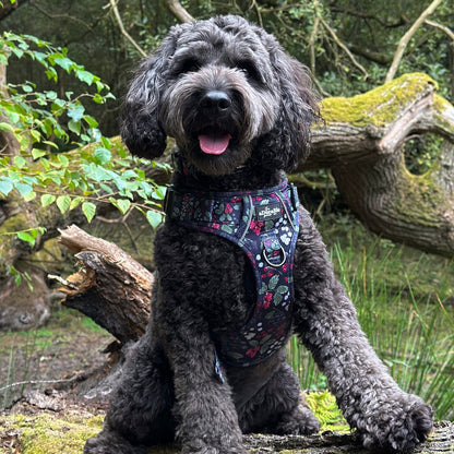 Hike & Go Lite™ Harness - Bramble Berry