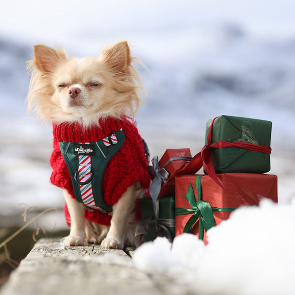 Hike & Go™ Harness - Candy Cane Forest