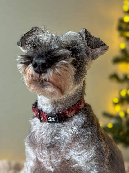 Collar - Winter Fawn