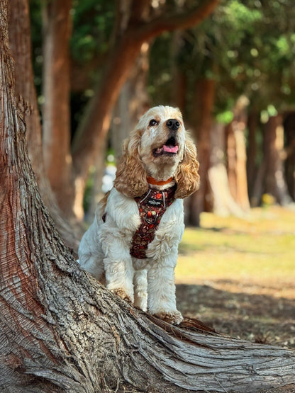 Hike & Go™ Harness - Foragers Forest