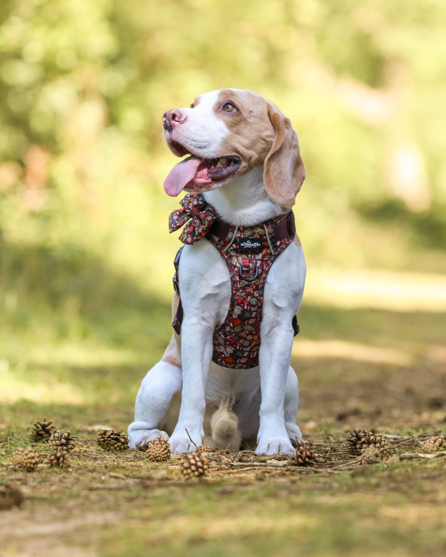 Hike & Go™ Harness - Foragers Forest