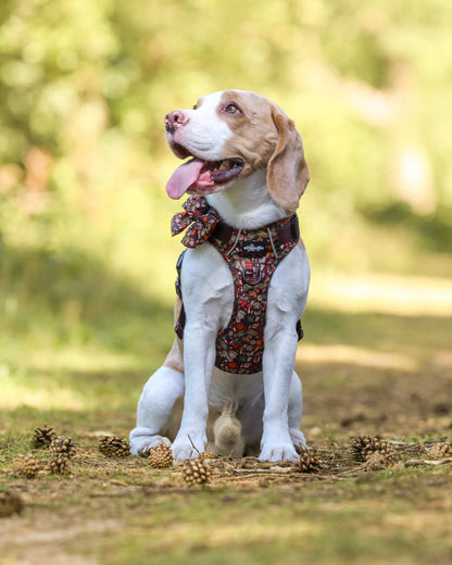 Hike & Go™ Harness - Foragers Forest