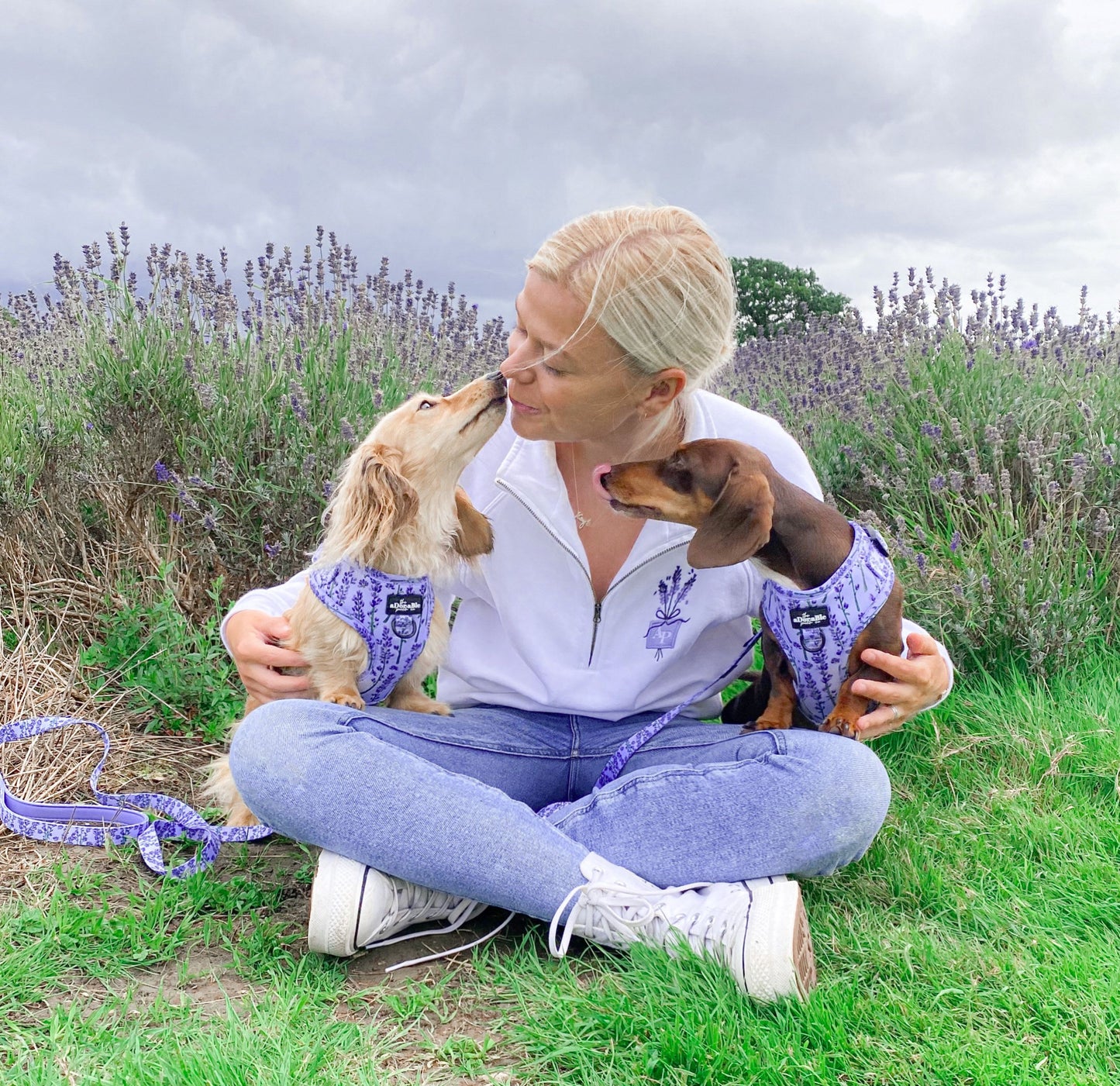 Embroidered Zip Neck Sweat - Lavender Haze