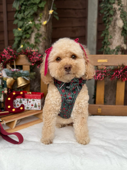 Hike & Go Lite™ Harness - Holly & Ivy