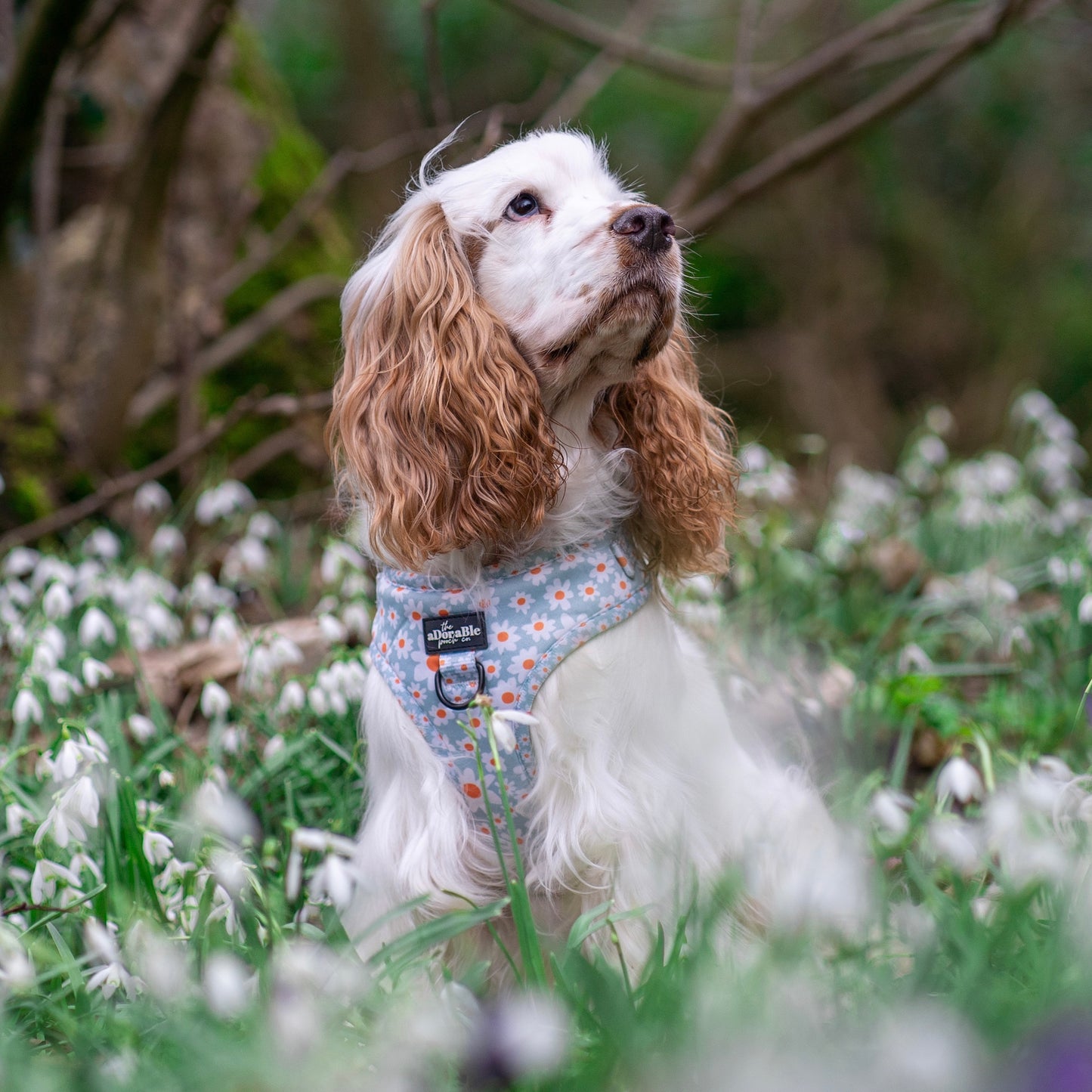 Adjustable Harness - Oopsy Daisy