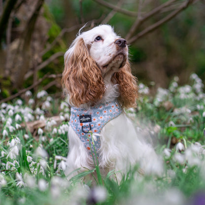 Adjustable Harness - Oopsy Daisy