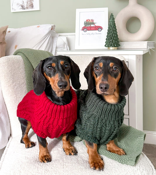 Hand Knitted Dachshund Jumper - Berry Red