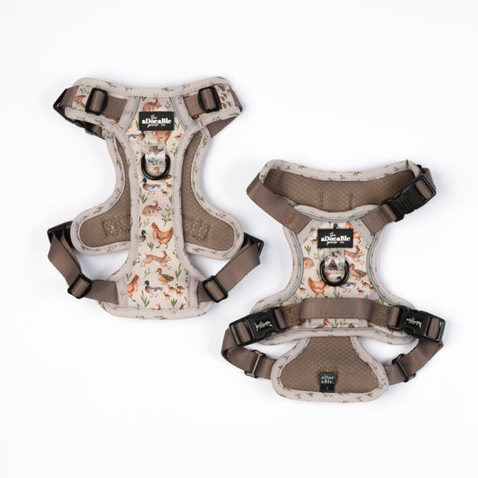 Hike & Go Lite™ Harness - Cotswold Cottage