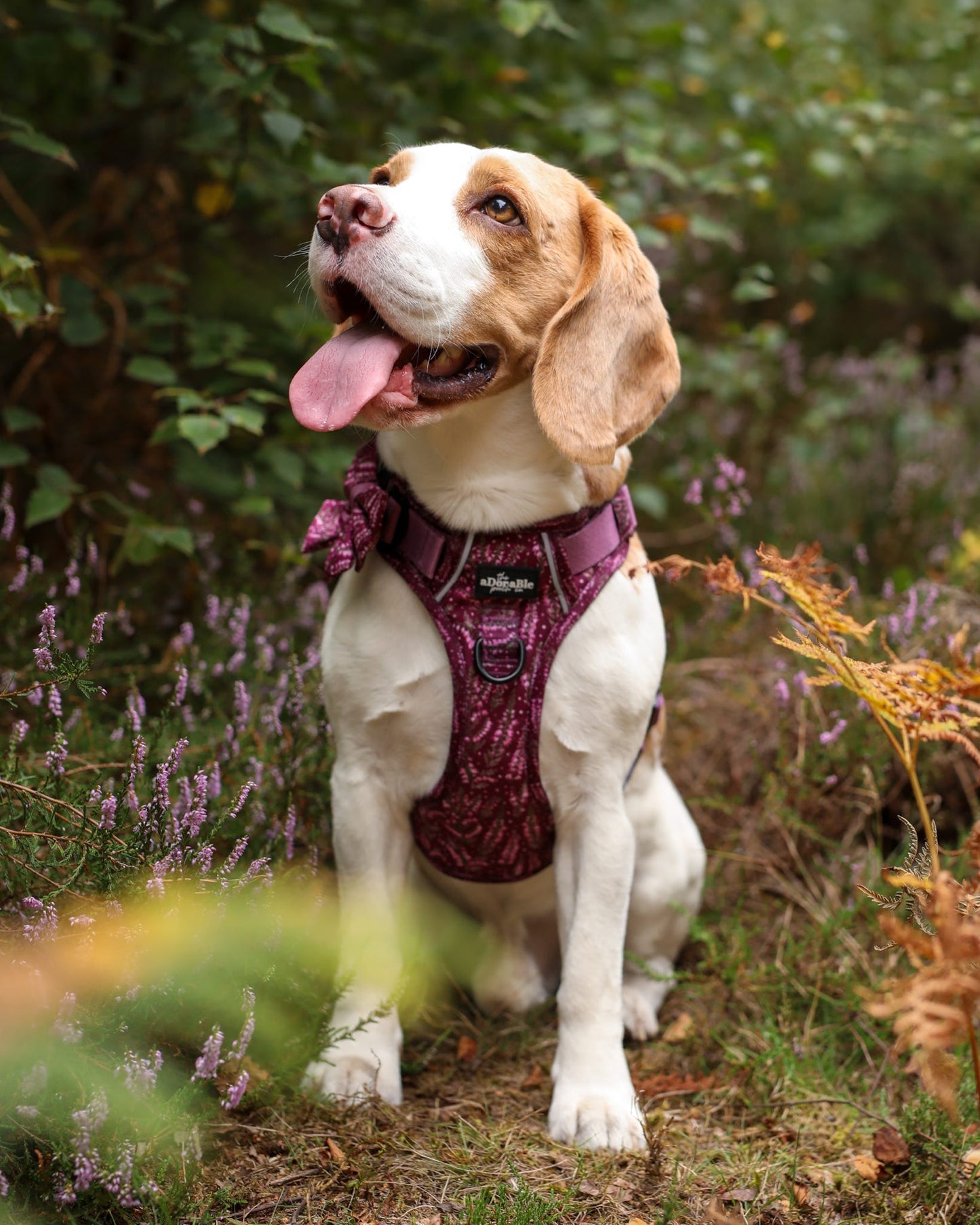 Hike & Go™ Harness - Highland Heather