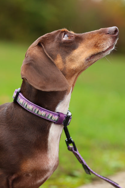 Collar - Moonlit Pines