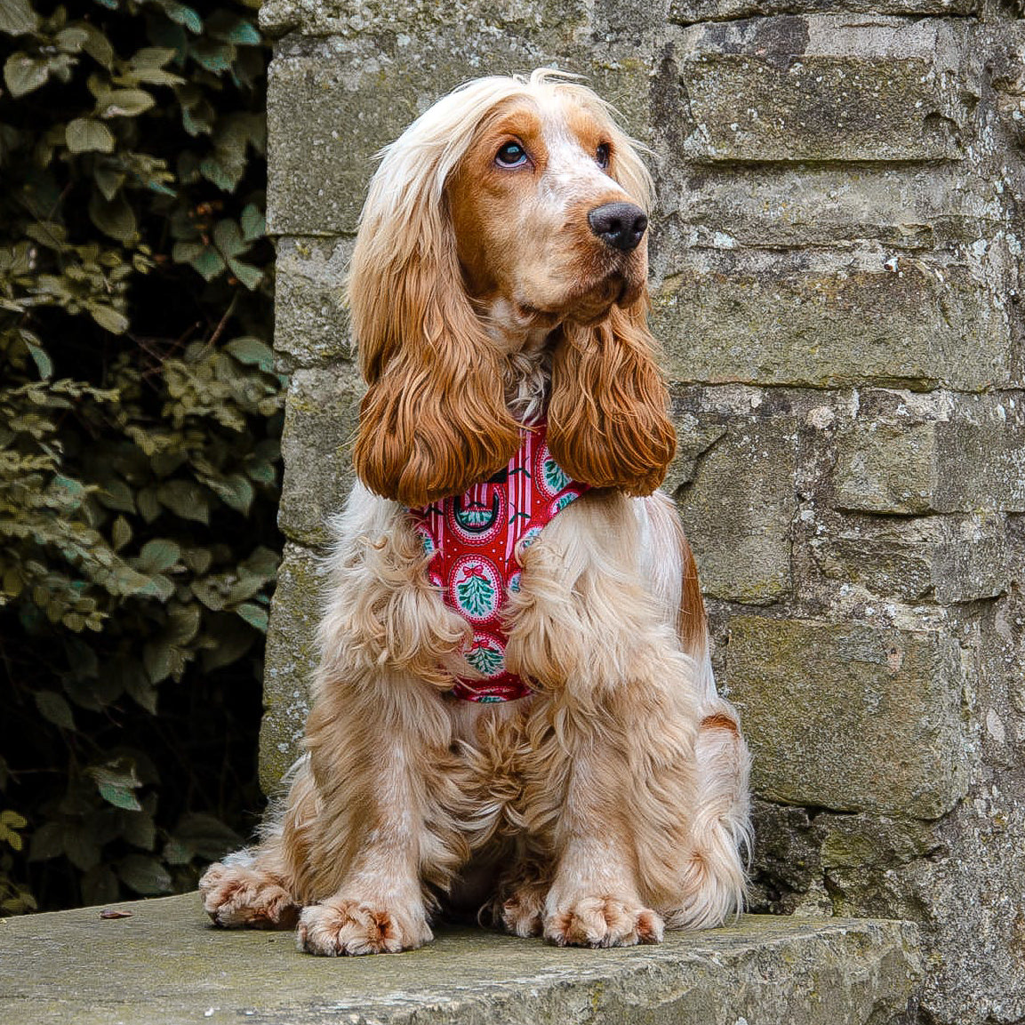 Adjustable Harness - Christmas Traditions