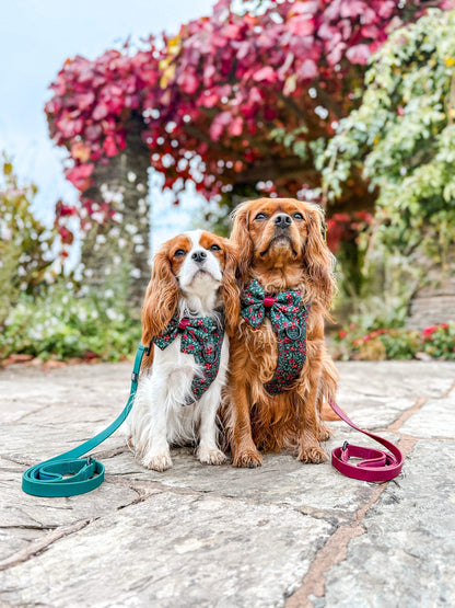 Sailor Bow Tie - Holly & Ivy