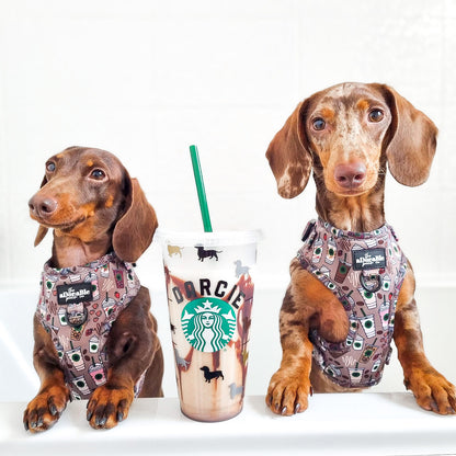 Adjustable Harness - Starbarks Frappé Hour - Large
